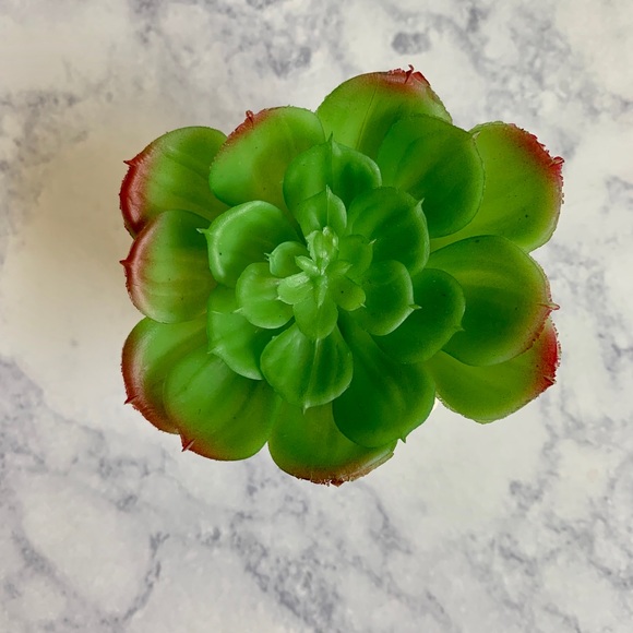 Faux Succulent Mini Plant - Picture 3 of 3